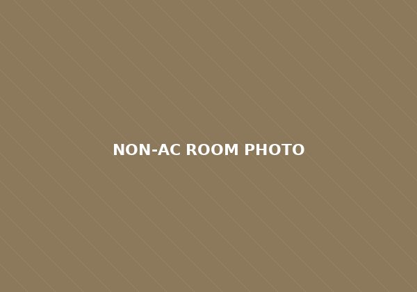 Non-AC room at Hotel Mauli